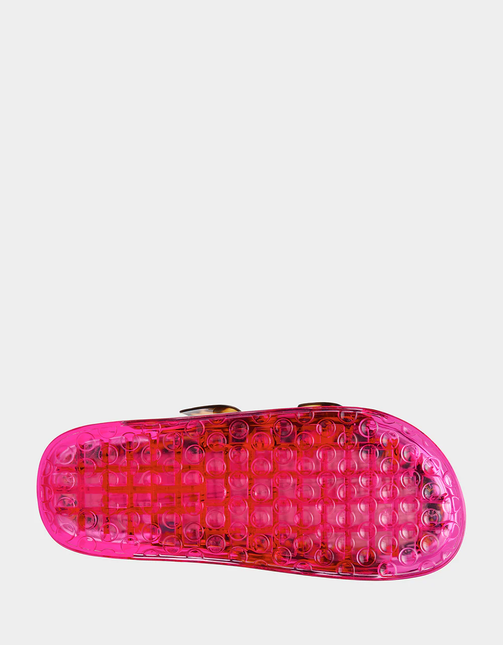 LANDIN TORTOISE - Image 7